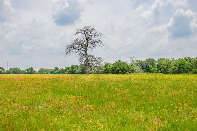 LOT32 Legacy Rd, Somerville, TX 77879 - photo 32