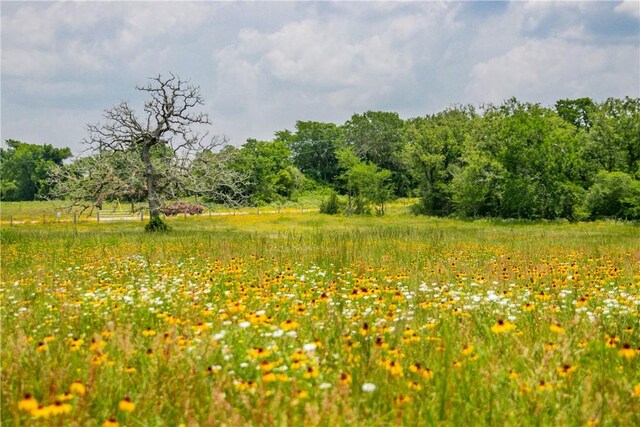 LOT32 Legacy Rd, Somerville, TX 77879 - photo 27