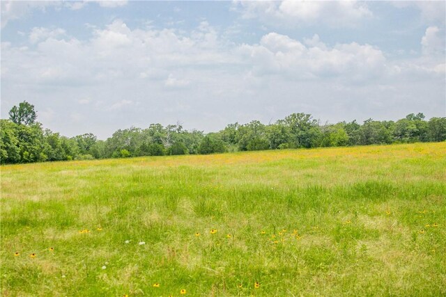 LOT32 Legacy Rd, Somerville, TX 77879 - photo 15