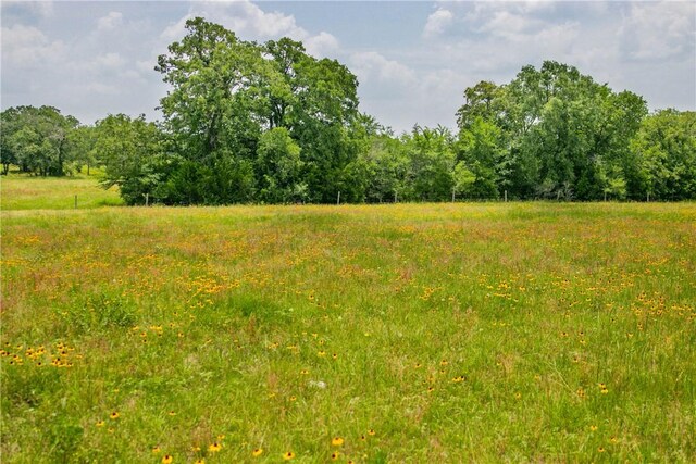 LOT32 Legacy Rd, Somerville, TX 77879 - photo 21