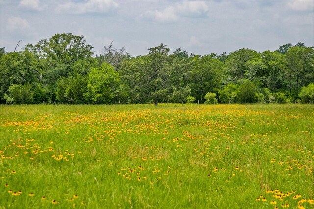 LOT32 Legacy Rd, Somerville, TX 77879 - photo 25