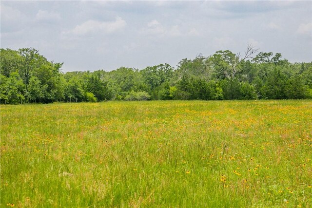 LOT32 Legacy Rd, Somerville, TX 77879 - photo 20