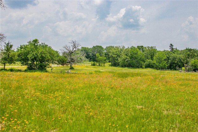 LOT32 Legacy Rd, Somerville, TX 77879 - photo 29