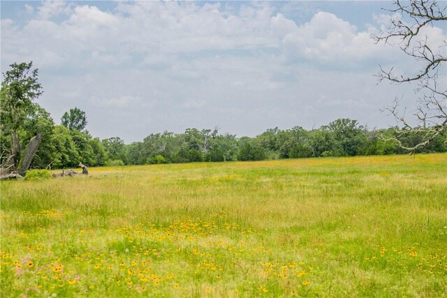 LOT32 Legacy Rd, Somerville, TX 77879 - photo 12