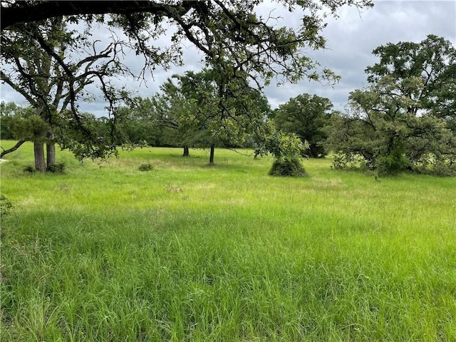 view of landscape with a rural view