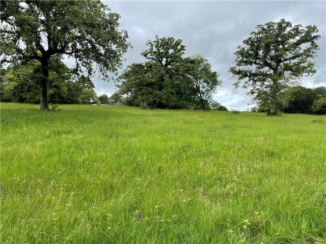 view of landscape