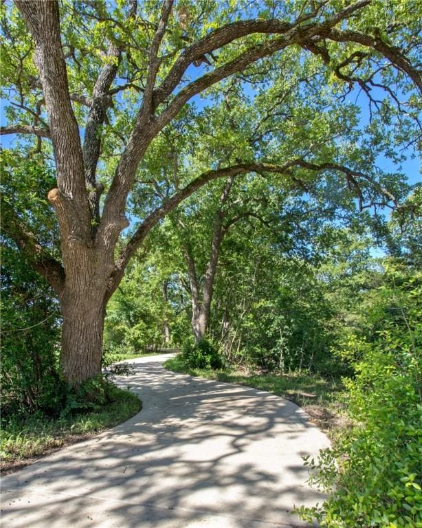 3631 Hardin Hills Dr, College Station, TX 77845 - photo 6