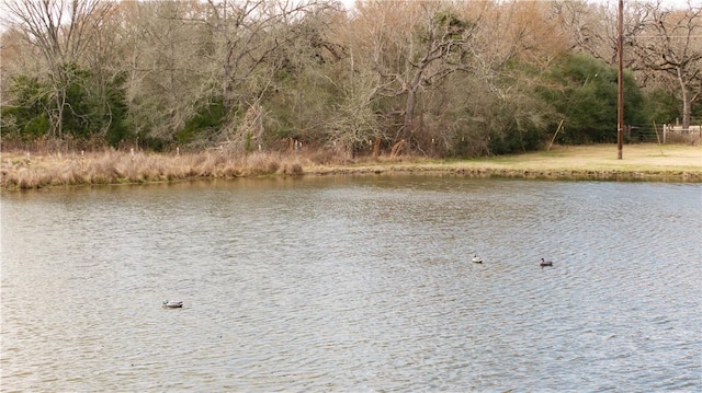 water view