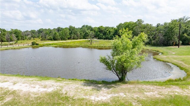 4397 Sulphur Springs Rd, College Station, TX 77845 - photo 9