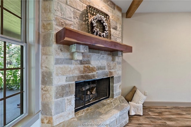 details featuring a fireplace and wood-type flooring