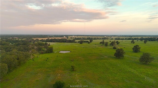 Listing photo 3 for 9233 County Road 103, Iola TX 77861