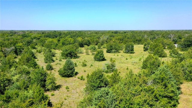 bird's eye view with a view of trees