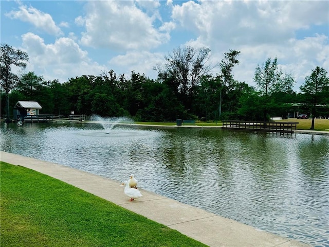 water view
