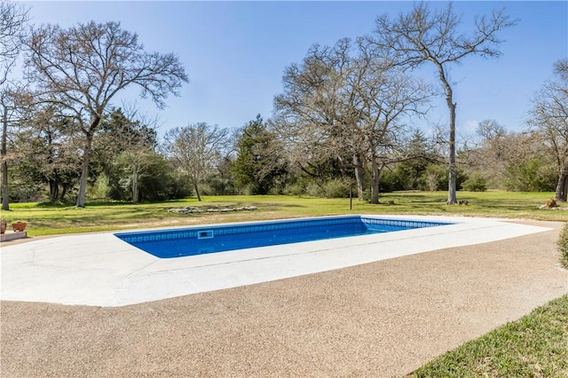 outdoor pool with a lawn and a patio area