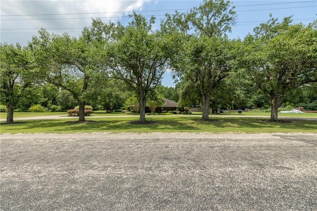 2629 Benton Dr, Brenham, TX 77833 - view of grassy yard featuring view of scattered trees