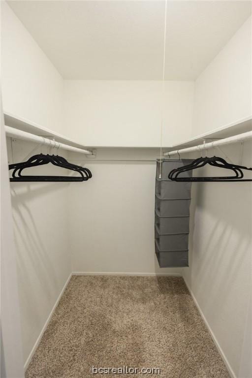 spacious closet with carpet flooring