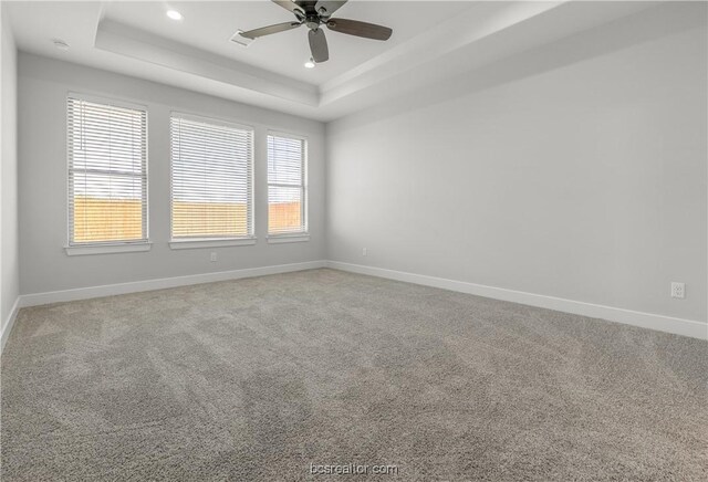 empty room with a raised ceiling, carpet flooring, and plenty of natural light