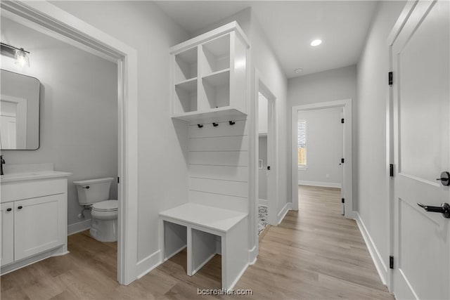 mudroom featuring light hardwood / wood-style floors and sink