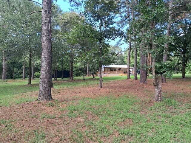 11357 County Road 307, Navasota, TX 77868 - photo 14
