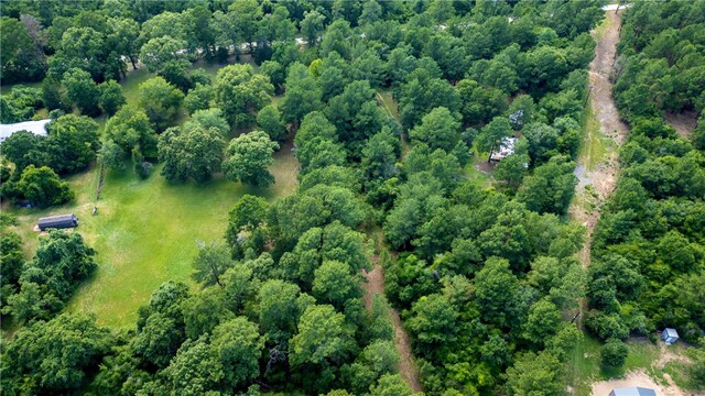 11357 County Road 307, Navasota, TX 77868 - photo 24