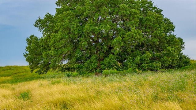 7101 Boehnemann Rd, Brenham, TX 77833