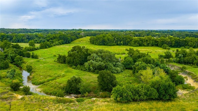 7101 Boehnemann Rd, Brenham, TX 77833