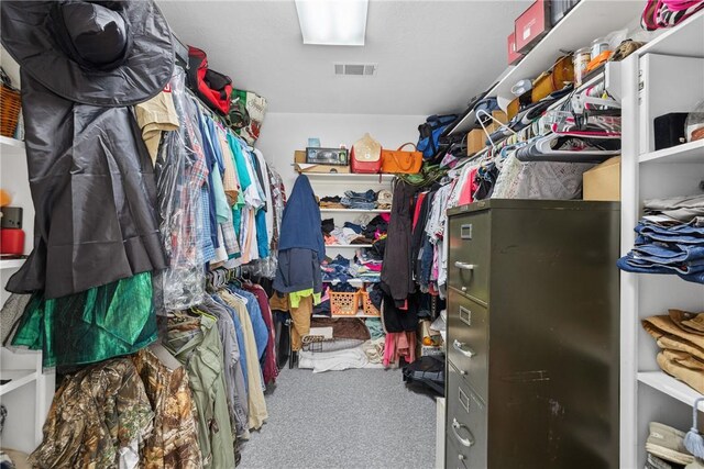 spacious closet featuring carpet flooring