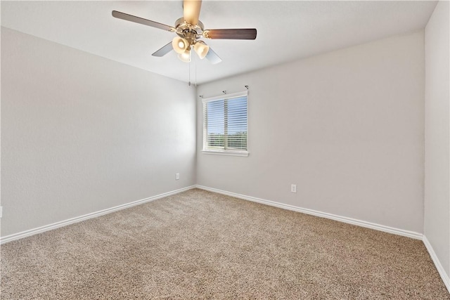 6244 Darlington Ave, College Station, TX 77845 - photo 39