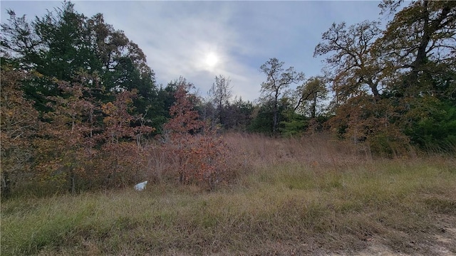 TBD Fm 1361, Somerville TX, 77879 land for sale