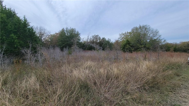 Listing photo 3 for TBD Fm 1361, Somerville TX 77879