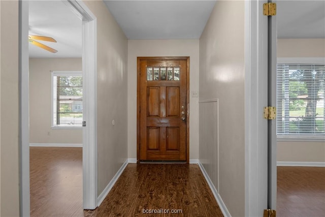 entryway featuring ceiling fan, dark wood-type flooring, and a wealth of natural light