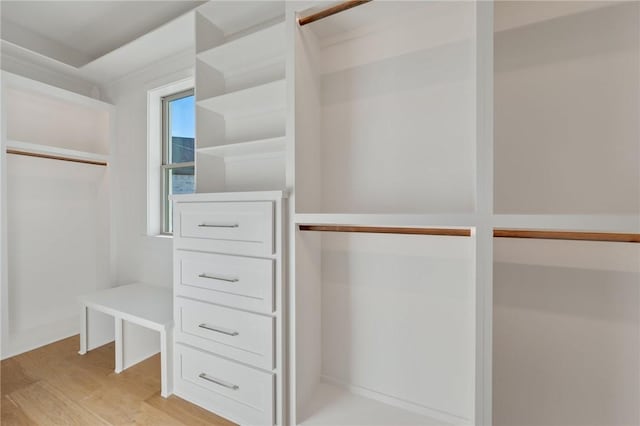 walk in closet featuring light hardwood / wood-style flooring