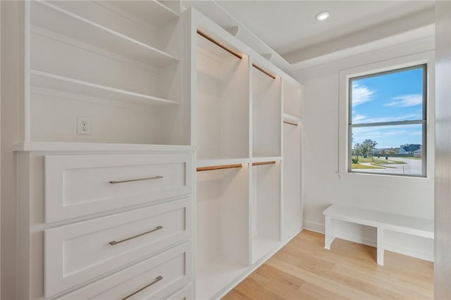 spacious closet featuring light hardwood / wood-style flooring