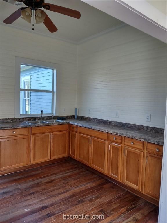 kitchen featuring ceiling fan, dark hardwood / wood-style flooring, ornamental molding, and sink