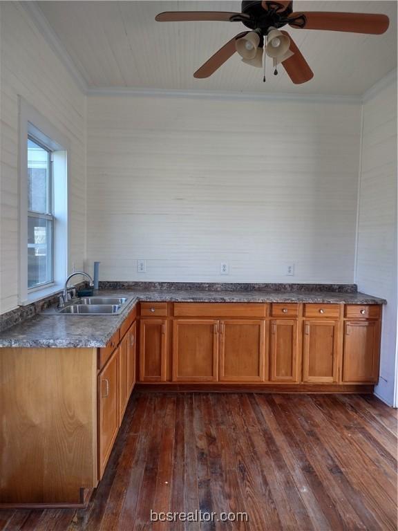 kitchen featuring crown molding, ceiling fan, dark wood-type flooring, and sink