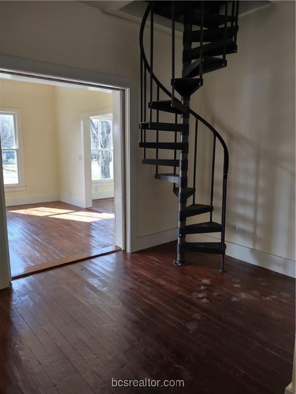 stairs featuring wood-type flooring and a wealth of natural light