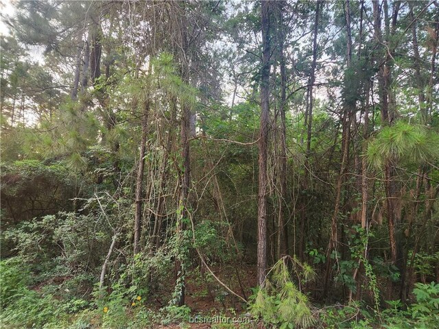 LOT5 Pin Oak Dr, Plantersville, TX 77363 - photo 3