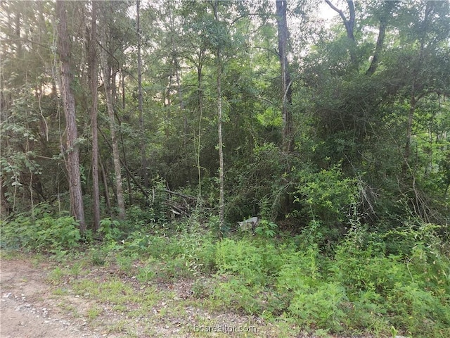 LOT5 Pin Oak Dr, Plantersville, TX 77363 - photo 2