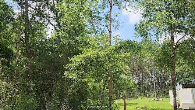 LOT5 Pin Oak Dr, Plantersville, TX 77363 - photo 4