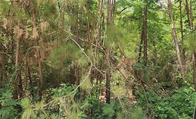 LOT5 Pin Oak Dr, Plantersville, TX 77363 - photo 8