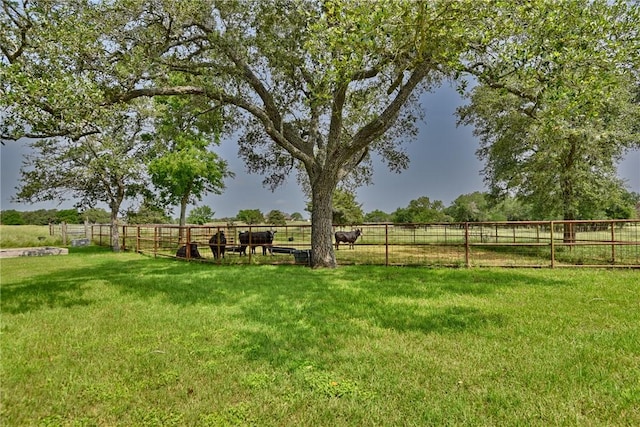 view of yard with a rural view