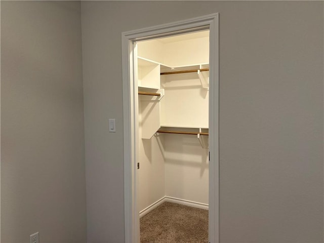 spacious closet with carpet flooring