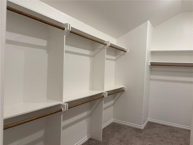 walk in closet with dark carpet