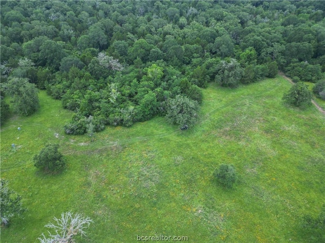 20650 Wellborn Rd N, College Station TX, 77845 land for sale