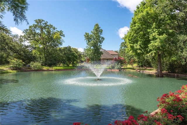 1002 Shady Dr, College Station, TX 77840 - photo 47