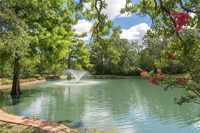 1002 Shady Dr, College Station, TX 77840 - photo 48