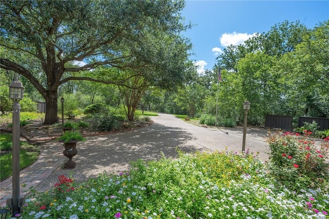 1002 Shady Dr, College Station, TX 77840 - photo 2