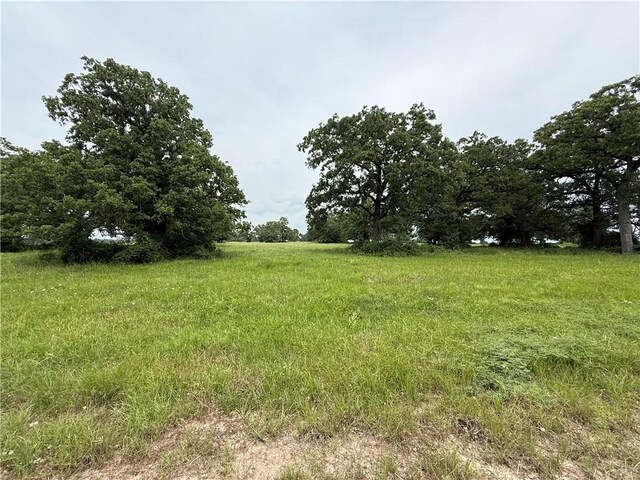 TBD County Road 164, Iola, TX 77861