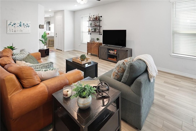 living room with light wood-type flooring