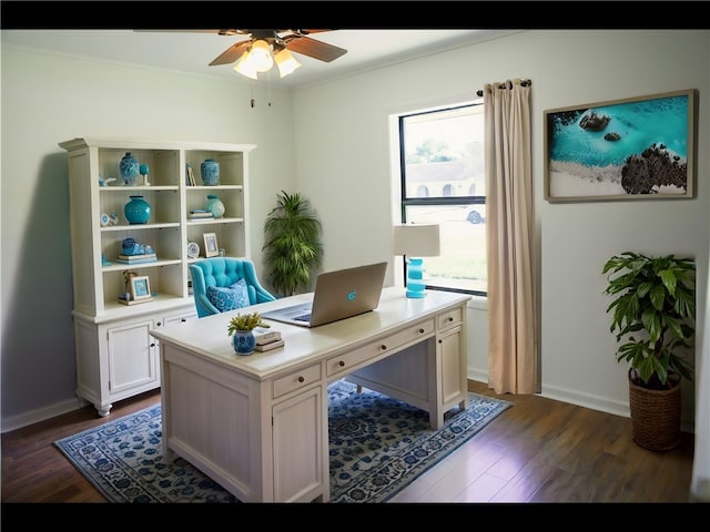 office with ceiling fan and dark wood-type flooring